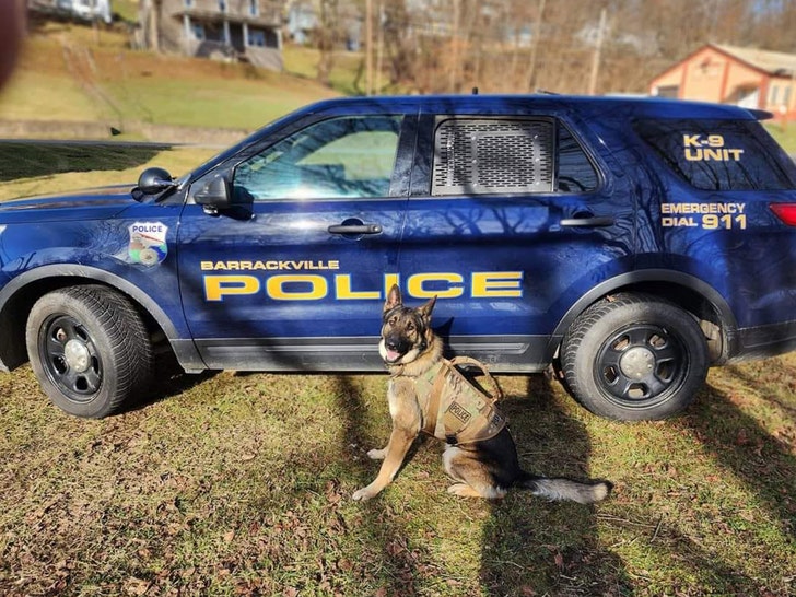K9 Barrackville Police Department