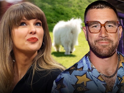 taylor swift and travis kelce white dog getty 1