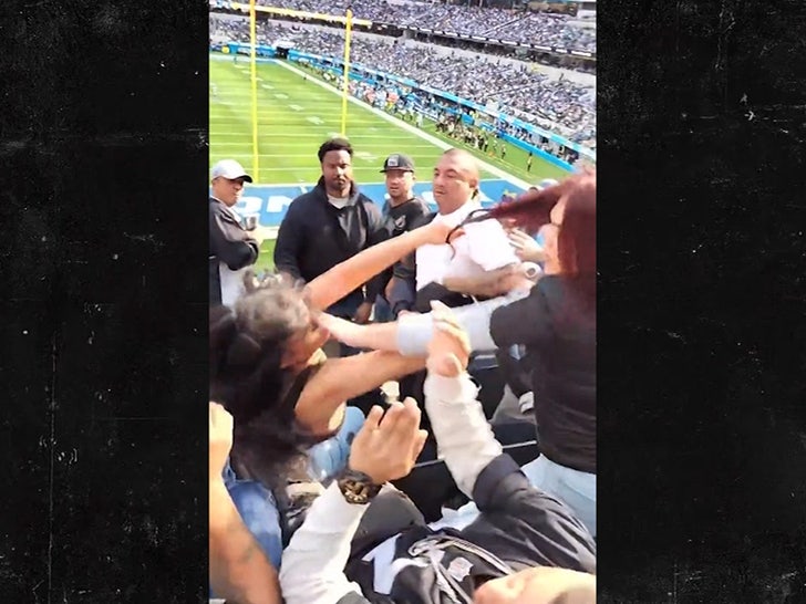 Two Women Got Into A Violent Fight At NFL Game On Sunday - The