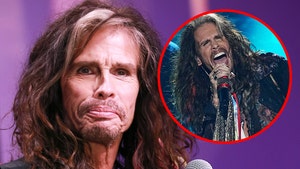 Steven Tyler Suffers Vocal Cord Damage, Postpones Aerosmith Shows