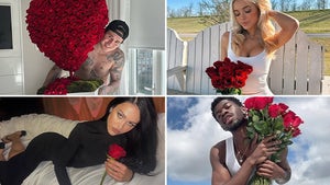 0612-Stars-With-Red-Roses-hero