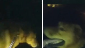 100725_loyal_dog_grandma_primary