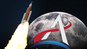 artemis-livestream-3