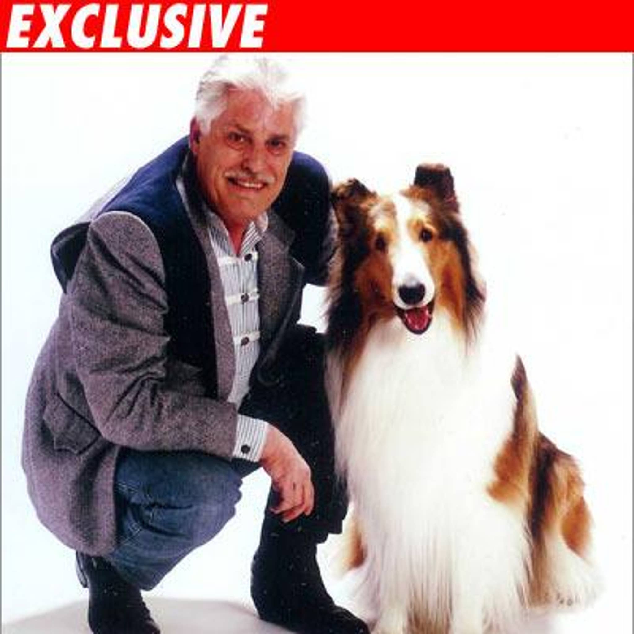 Lassie. The famous dog, Lassie, who appeared in many