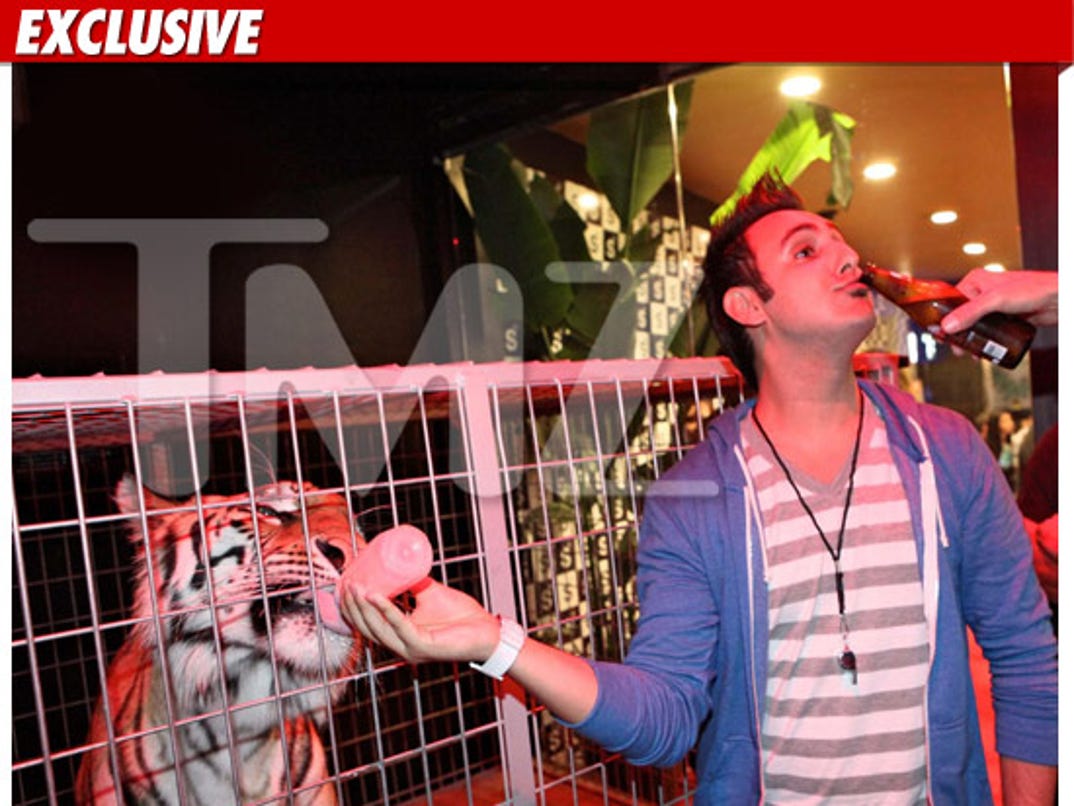 Tiger From The Hangover Partying In Hollywood tiger from the hangover partying