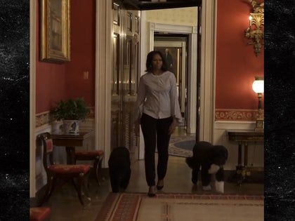 011817_michelle_obama_primary