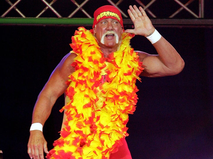 Hulk Hogan Wrestling