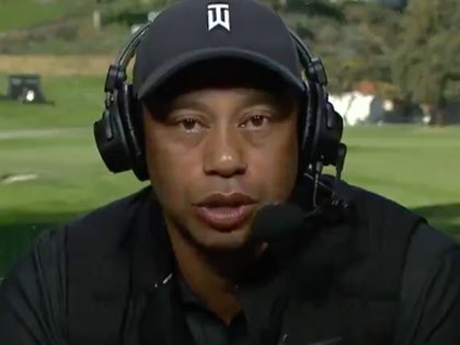 0222 tiger woods interview