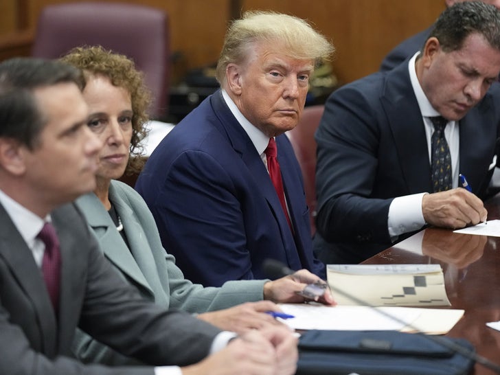 Donald Trump Arrested in Stormy Daniels Hush Money Case, Pictured In Court