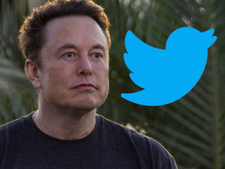 Elon Musk, TX Shooter'ın Neo-Nazi Bağları Hakkında Yanlış Açıklamanın Ardından Twitter Tarafından Düzeltildi