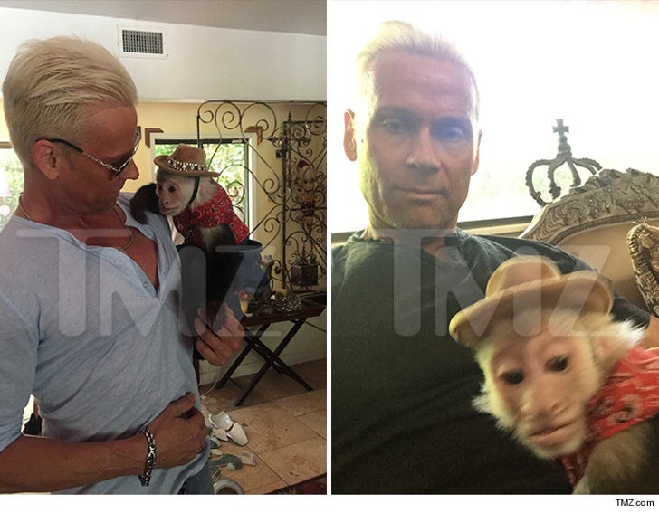 Gigolos' Star Brace -- I'm Definitely Not Hooked on Monkeys :: 0805-brace-and-the-monkey-tmz-wm-main-3