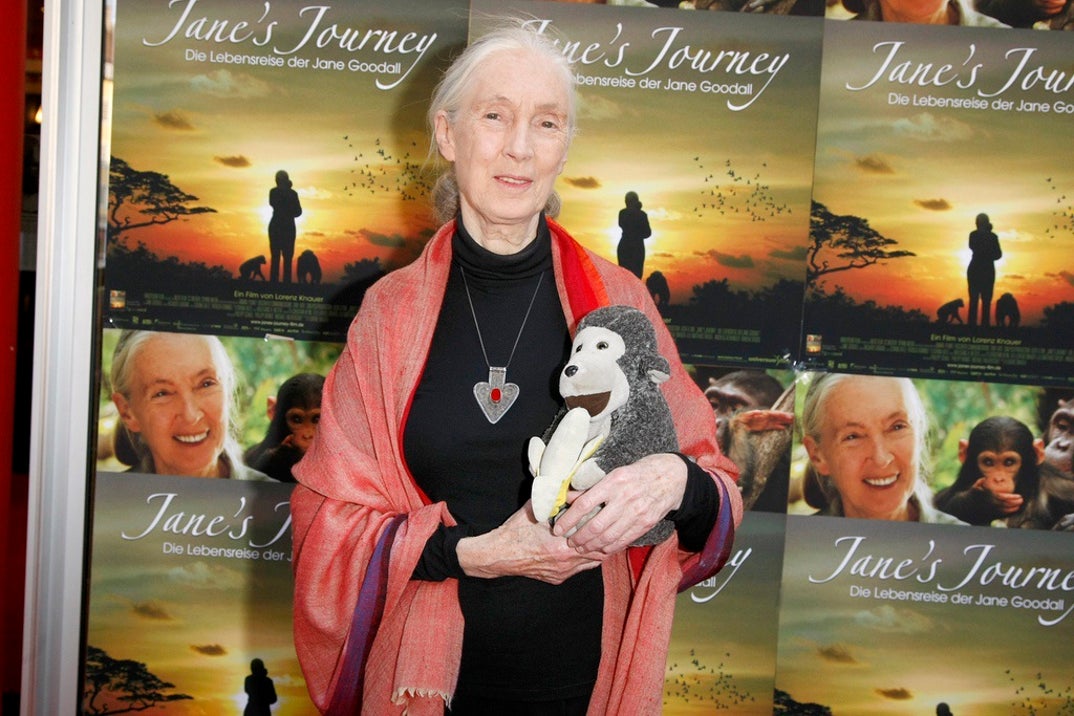 Remembering Jane Goodall 0