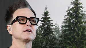 Blink-182's Mark Hoppus Sues Neighbor Over Pine Tree Blocking View