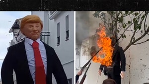 trump-effigy-primary-04-21-2025