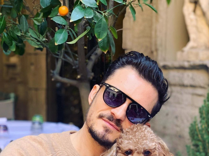 Orlando_Bloom_dog_Mighty_missing_Instagram_5