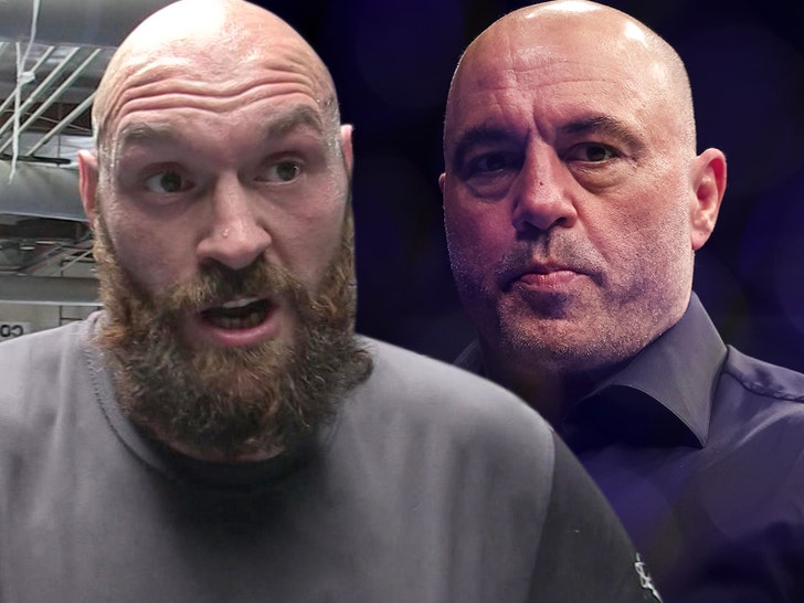 joe rogan ufc