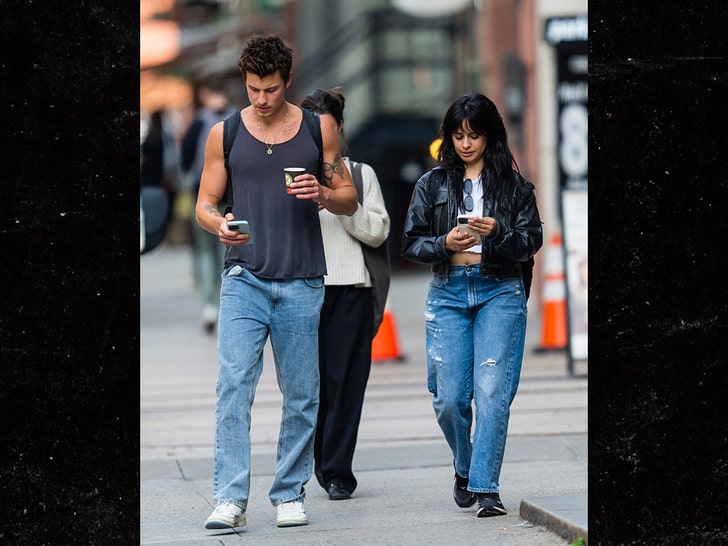 Shawn Mendes and Camila Cabello still going strong after giving their relationship a second chance