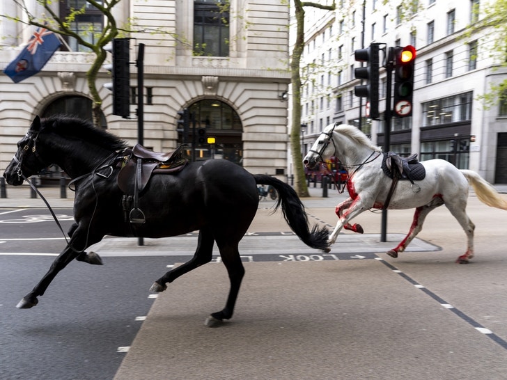 Horses Loose On The Streets Of London