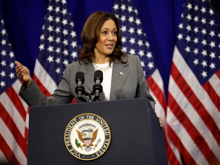 Kamala Harris Recalls Moment President Biden Told Her He Was Dropping Out of Race