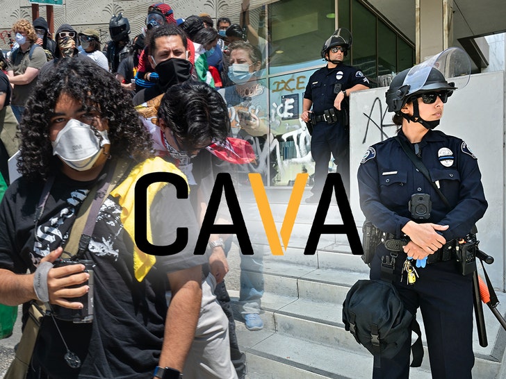 los angeles protesters lapd cava order