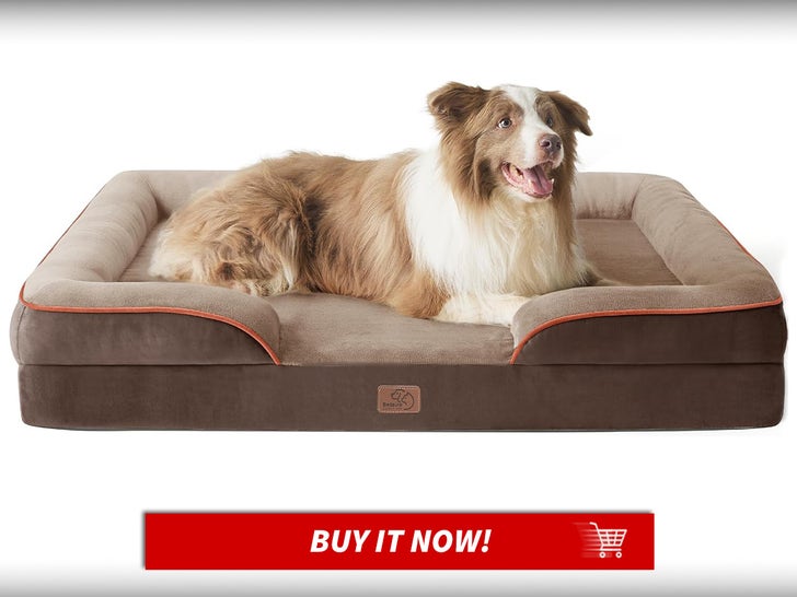 Bedsure-L-Orthopedic-Dog-Bed-National-Dog-Day-Deals-MAIN