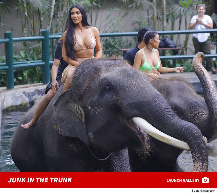 The Kardashians' Elephant Adventure In Bali