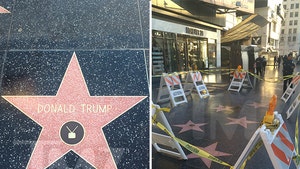 Donald Trump -- Hollywood Star Gets Presidential Protection (PHOTOS)