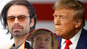 donald trump sebastian stan the apprentice main