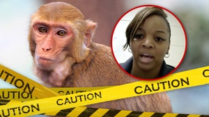 Escaped Mississippi Monkeys jessica bond ferguson getty tmz 1