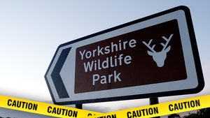 Yorkshire-Wildlife-Park-getty-2