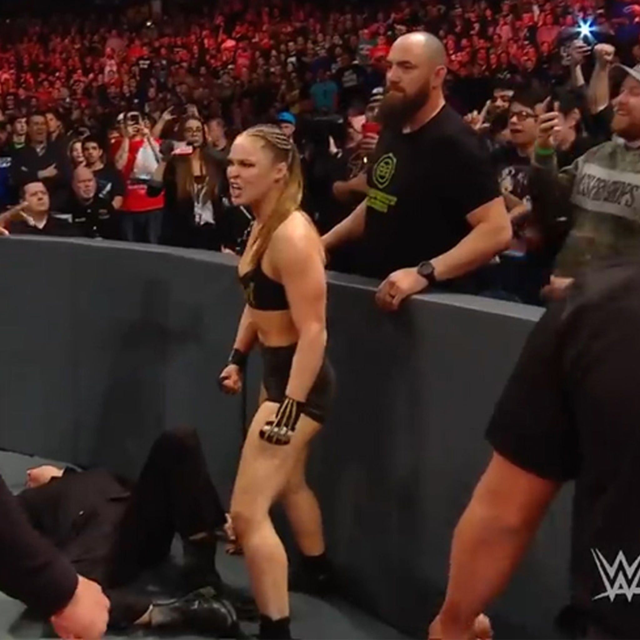 1200px x 1200px - Ronda Rousey's Husband Travis Browne Fights Off Security at 'WWE Raw'