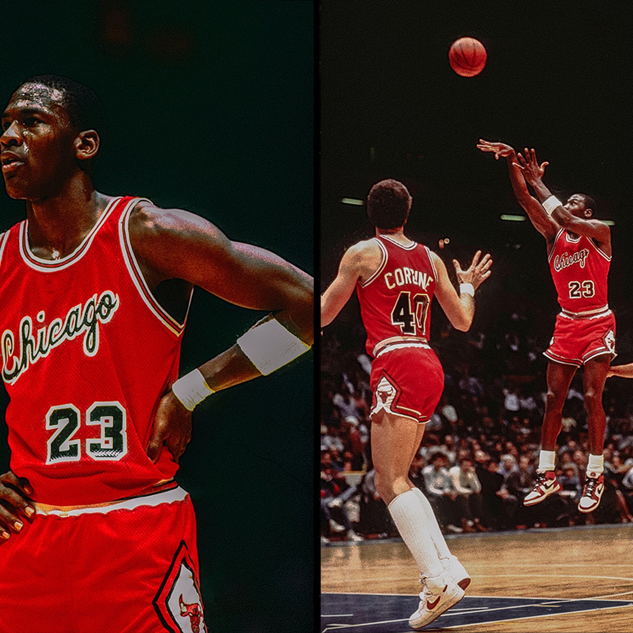 rookie year michael jordan