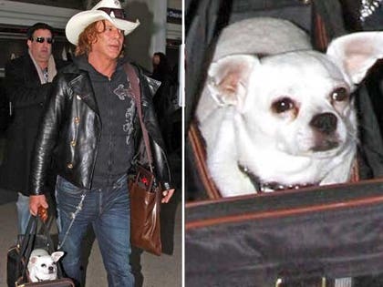 mickey rourke