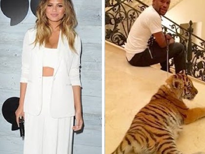 120915_floyd_teigan_primary