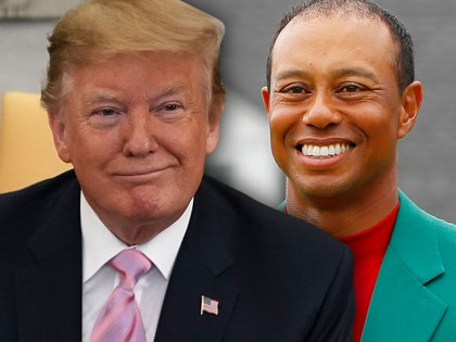 0415-trump-woods-getty-01