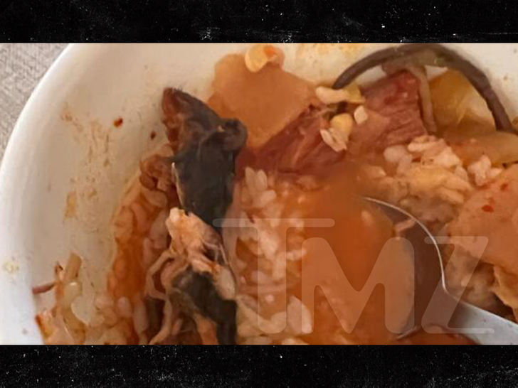 NYC Korean Restaurant Sued by Couple Claiming They Found Rat In Delivery Order