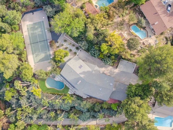 L.A. Mansion Serena, Venus Williams Bought Their Mother Up for Sale