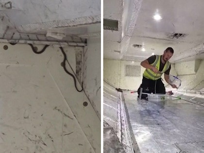 070225-snake-plane-primary