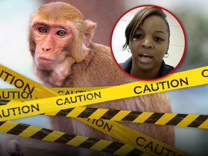Escaped Mississippi Monkeys jessica bond ferguson getty tmz 1