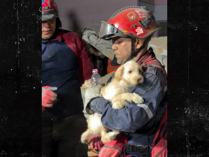 062526 earthquake puppy rescue SG2