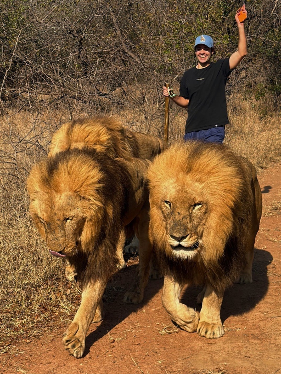 Georgia Hassarati David Dobrik More South Africa Vacay 25