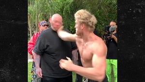 Logan Paul Slaps Man Unconscious, Pulls Out of Upcoming Slap Competition