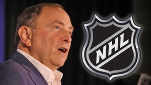 NHL Commish Gary Bettman Outlines Plan For Hockey's Return, 24-Team Playoff!