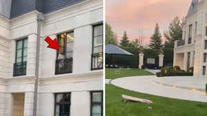Drake Sinks Epic Cornhole Toss from His Mansion Window