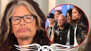 steven tyler aerosmith main