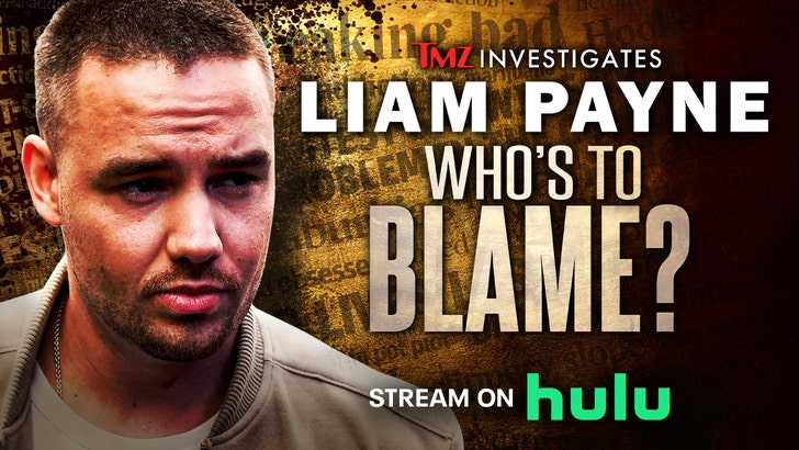 Liam Payne hulu INLINE