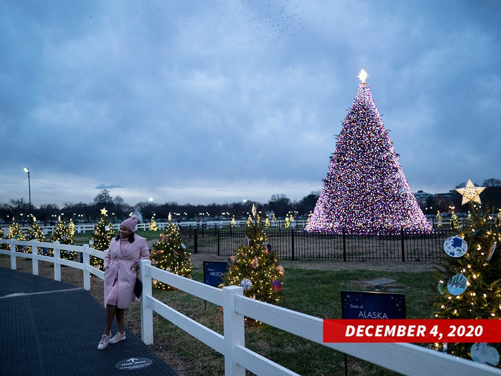 President Biden's First National Christmas Tree Cost $139k