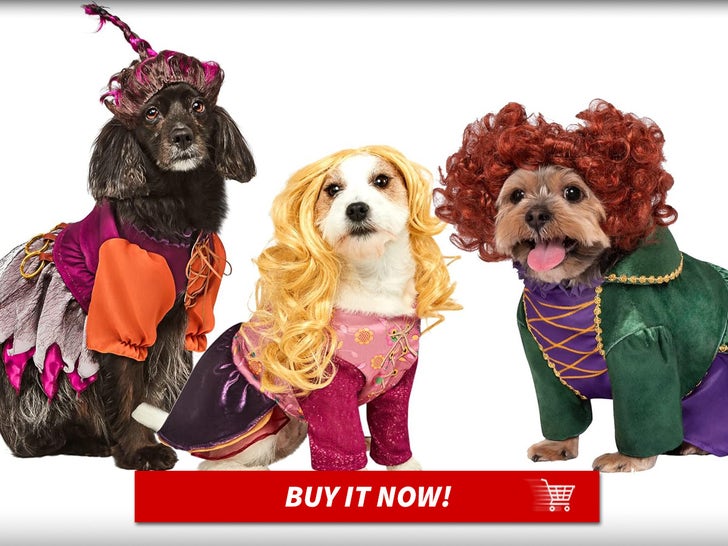 Hocus-Pocus-Winifred-Sanderson-Pet-Costume-MAIN