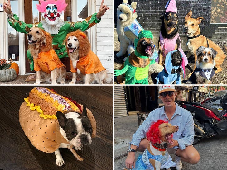 Celebrity Pets All Dressed Up For Halloween!