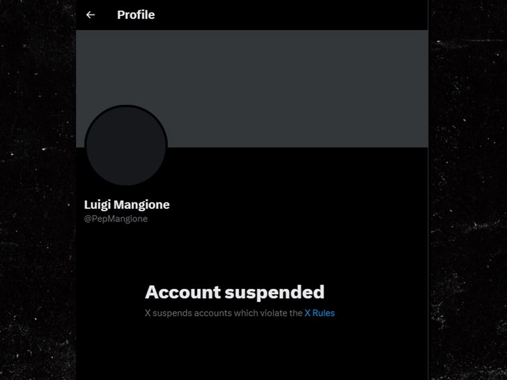 Luigi Mangione X account deleted